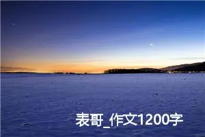 表哥_作文1200字_高中优秀作文
