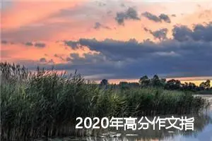 2020年高分作文指导：语言写作技巧_作文500字_高考作文指导