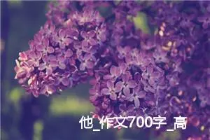 他_作文700字_高中优秀作文
