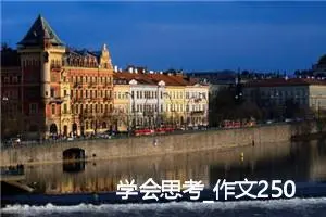 学会思考_作文250字_高中作文范文