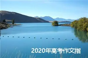 2020年高考作文指导：优秀作文写作技巧_作文3000字_高考作文指导