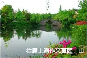 往届上海作文真题：山顶的风景_作文650字_高考作文