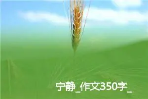 宁静_作文350字_高中优秀作文