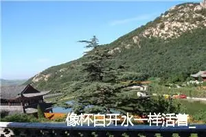 像杯白开水一样活着_作文200字_高中优秀作文