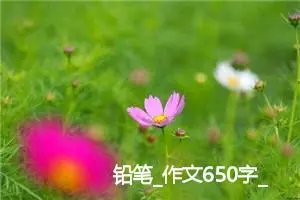 铅笔_作文650字_高中作文范文