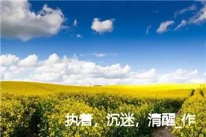 执着，沉迷，清醒_作文800字_高中作文范文