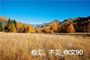 相见，不见_作文900字_高中优秀作文