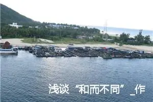 浅谈“和而不同”_作文1000字_高中作文范文