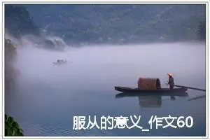 服从的意义_作文600字_高考作文