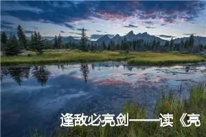 逢敌必亮剑——读《亮剑》有感_作文700字_高中优秀作文