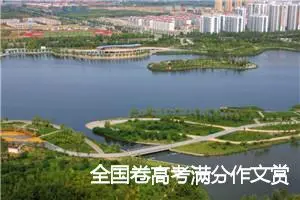 全国卷高考满分作文赏析:与品读相拥_高考满分作文