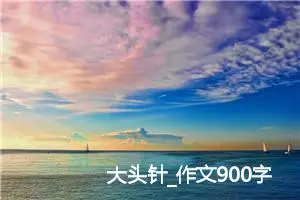 大头针_作文900字_高中作文范文