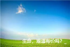 生命，难道有价吗？_作文750字_高中作文范文