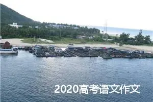 2020高考语文作文万能开头结尾大全_作文900字_高考作文指导