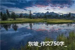 东坡_作文750字_高中作文范文