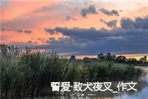 誓爱·致犬夜叉_作文800字_高中作文范文