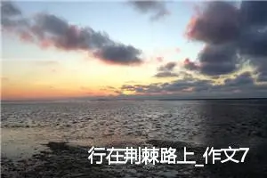 行在荆棘路上_作文700字_高中作文范文