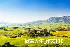欣赏人生_作文1100字_高中优秀作文