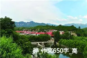 碎_作文650字_高中作文范文