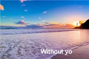 Without you_作文650字_高中优秀作文