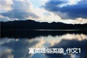 真英雄俗英雄_作文1300字_高中优秀作文
