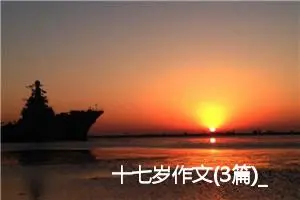 十七岁作文(3篇)_高中作文范文