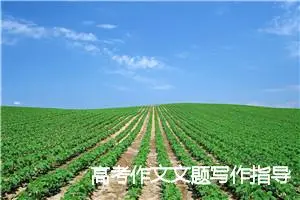 高考作文文题写作指导_作文1650字_高考作文指导