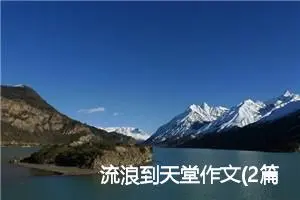 流浪到天堂作文(2篇)_高中优秀作文