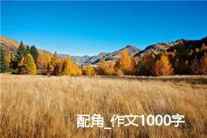 配角_作文1000字_高中作文范文