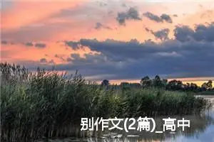 别作文(2篇)_高中优秀作文