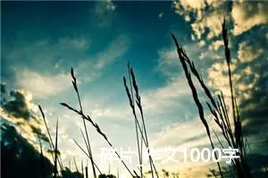 碎片_作文1000字_高中优秀作文