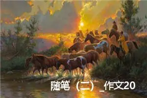 随笔（二）_作文200字_高中优秀作文