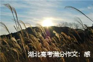 湖北高考满分作文：感时花溅泪_高考满分作文