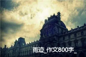 雨迹_作文800字_高中作文范文