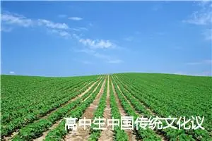 高中生中国传统文化议论文【三篇】_高中议论文作文