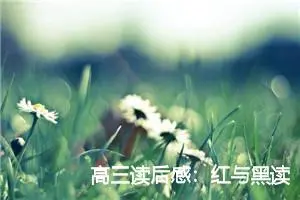高三读后感：红与黑读后感900字_高中读后感