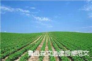 鲁迅杂文选读后感范文1000字精选_高中读后感