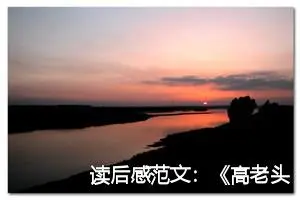 读后感范文：《高老头》读后感800字_高中读后感