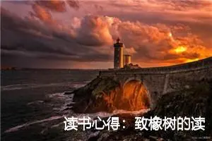 读书心得：致橡树的读后感1000字_高中读后感