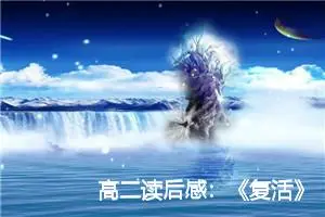 高二读后感：《复活》的读后感_作文1850字_高中读后感