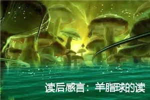 读后感言：羊脂球的读后感200字_高中读后感