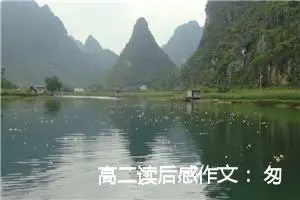 高二读后感作文 ：匆匆的读后感500字_高中读后感
