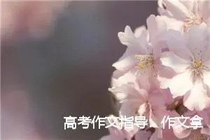 高考作文指导：作文拿高分的七大技巧_作文800字_高考作文指导