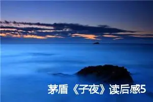 茅盾《子夜》读后感500字范文_高中读后感
