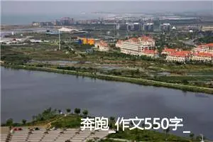 奔跑_作文550字_高中作文范文