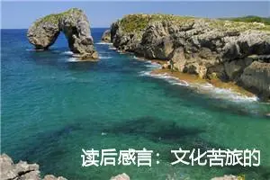 读后感言：文化苦旅的读后感200字_高中读后感