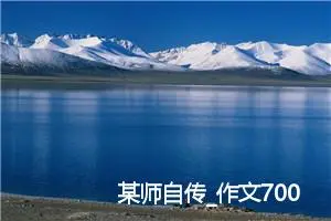 某师自传_作文700字_高中作文范文