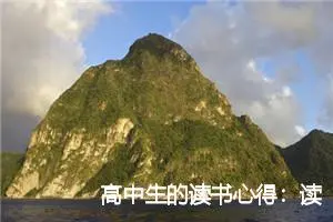 高中生的读书心得：读《致橡树》有感_作文2800字_高中读后感