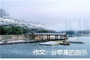 作文：分苹果的启示