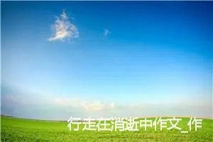 行走在消逝中作文_作文950字_高三作文